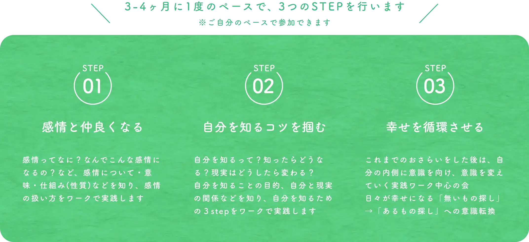 3-4ヶ月に1度のペースで
            3つのSTEPを行います